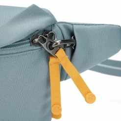 Pacsafe Pacsafe Go Gürteltasche RFID Schutz 27 cm